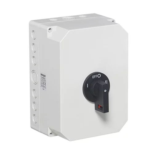Manual Changeover Switch SP+N 100A IP65 Moulded
