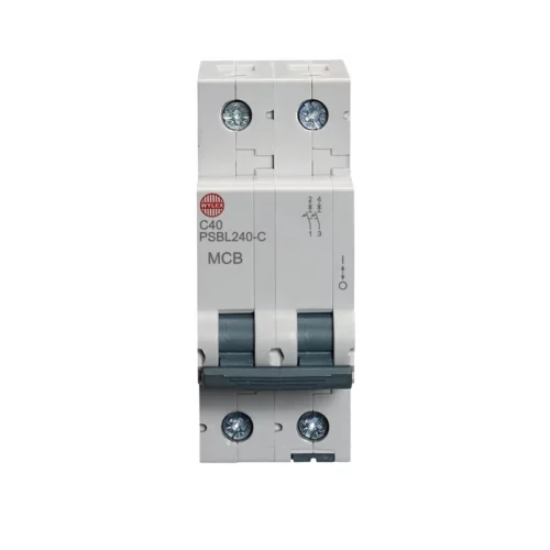40A Double pole MCB C curve 10kA